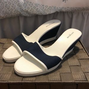 Navy and White Wedges - Ann Taylor